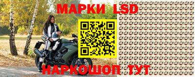 СК Кунгур