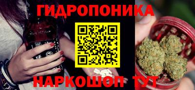 гашик Кулебаки