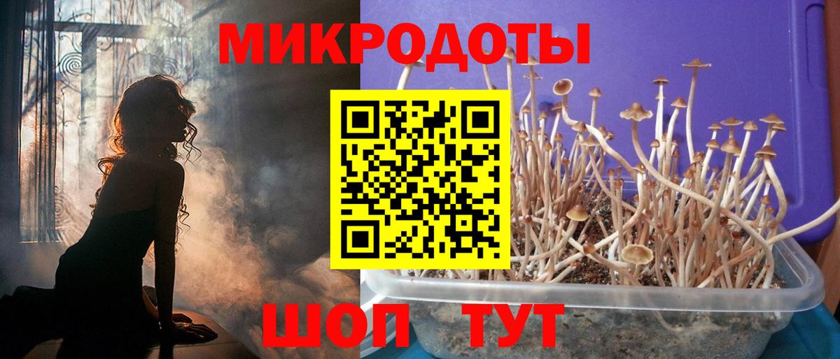 сколько стоит  Псилоцибиновые грибы Magic Shrooms  Камышлов  Вход с VPN  Псилоцибиновые грибы MAGIC MUSHROOMS 