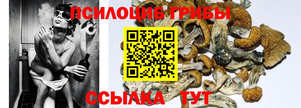 Псилоцибиновые грибы ЛСД Камышлов